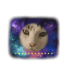 猫のスタンプ（ちょっと変えたバージョン）（個別スタンプ：2）