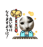 猫のスタンプ（ちょっと変えたバージョン）（個別スタンプ：6）