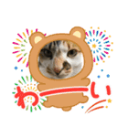 猫のスタンプ（ちょっと変えたバージョン）（個別スタンプ：7）