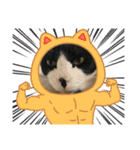 猫のスタンプ（ちょっと変えたバージョン）（個別スタンプ：10）