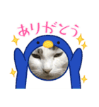 猫のスタンプ（ちょっと変えたバージョン）（個別スタンプ：12）