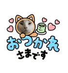 猫のスタンプ（ちょっと変えたバージョン）（個別スタンプ：14）