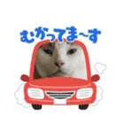 猫のスタンプ（ちょっと変えたバージョン）（個別スタンプ：23）