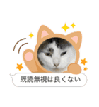 猫のスタンプ（ちょっと変えたバージョン）（個別スタンプ：30）