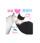 猫の言語（個別スタンプ：15）