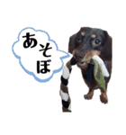 チワックスダンプ（個別スタンプ：14）