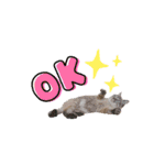 ちろっきーちょろあず（個別スタンプ：9）