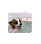 ちろっきーちょろあず（個別スタンプ：13）