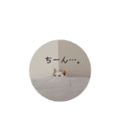 ちろっきーちょろあず（個別スタンプ：16）