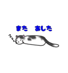 ゆる猫の日常あいさつ 【修正版】（個別スタンプ：5）