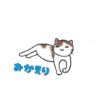 ゆる猫の日常あいさつ 【修正版】（個別スタンプ：13）