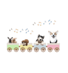 PONZ 4th コーギーのぽんずスタンプ（個別スタンプ：8）