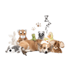 PONZ 4th コーギーのぽんずスタンプ（個別スタンプ：16）