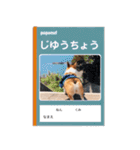 PONZ 4th コーギーのぽんずスタンプ（個別スタンプ：37）