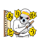 ☆チワワの心菜☆2022夏（個別スタンプ：5）