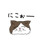 キャンプする猫（個別スタンプ：13）