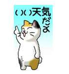 猫大好き！（大）その35(スローライフ）（個別スタンプ：4）