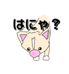 愛犬ロゼ（個別スタンプ：5）