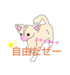 愛犬ロゼ（個別スタンプ：8）