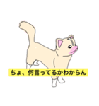 愛犬ロゼ（個別スタンプ：15）