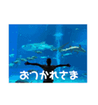 漢とーる2.6（個別スタンプ：12）