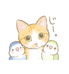 猫のかいのすけくんとインコのあおあも（個別スタンプ：19）