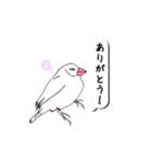 文鳥の感情（個別スタンプ：1）