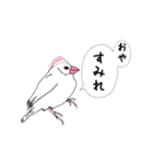 文鳥の感情（個別スタンプ：4）