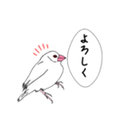 文鳥の感情（個別スタンプ：5）