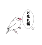 文鳥の感情（個別スタンプ：6）