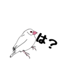 文鳥の感情（個別スタンプ：7）