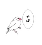 文鳥の感情（個別スタンプ：8）
