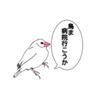 文鳥の感情（個別スタンプ：9）