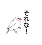 文鳥の感情（個別スタンプ：12）
