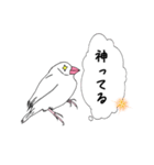文鳥の感情（個別スタンプ：14）