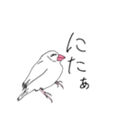 文鳥の感情（個別スタンプ：16）
