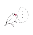 文鳥の感情（個別スタンプ：17）
