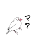 文鳥の感情（個別スタンプ：18）