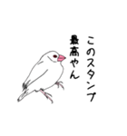 文鳥の感情（個別スタンプ：22）