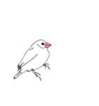 文鳥の感情（個別スタンプ：23）