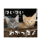 しょん＆めり（個別スタンプ：5）