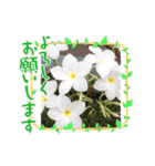 グアムの日常（個別スタンプ：10）
