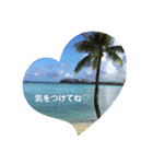 グアムの日常（個別スタンプ：21）