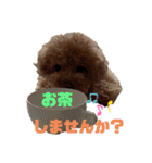 コタロースタンプ2（個別スタンプ：21）