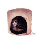 ごえもん日和17（個別スタンプ：1）