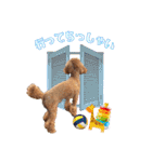 トイプーろっちゃん（個別スタンプ：3）