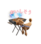 トイプーろっちゃん（個別スタンプ：9）