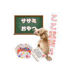 トイプーろっちゃん（個別スタンプ：31）