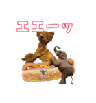 トイプーろっちゃん（個別スタンプ：35）