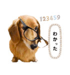 こちゃpart2（個別スタンプ：4）